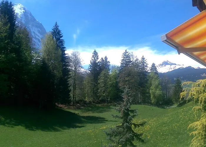 Mom - Alpine Boutique Apartments, Gletscher, Eiger View Terrace Grindelwald