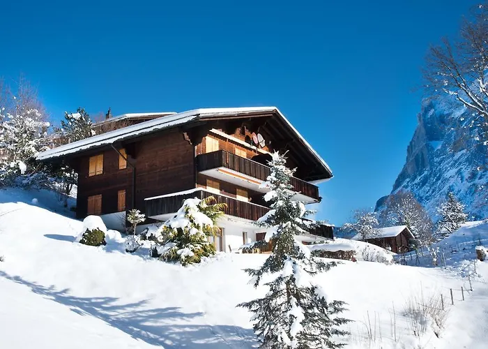 Mom - Alpine Boutique Apartments, Gletscher, Eiger View Terrace Appartamento Grindelwald