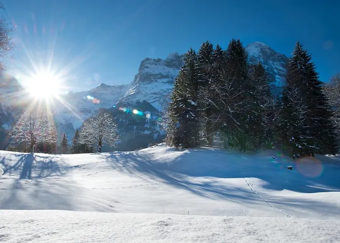 Mom - Alpine Boutique Apartments, Gletscher, Eiger View Terrace *